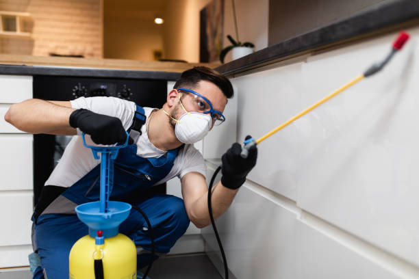 Best Flea Control Services  in Indian Springs, GA