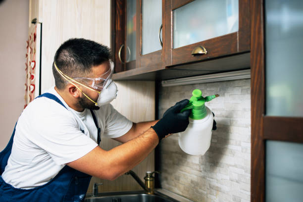 Best Pest Control for Homes  in Indian Springs, GA