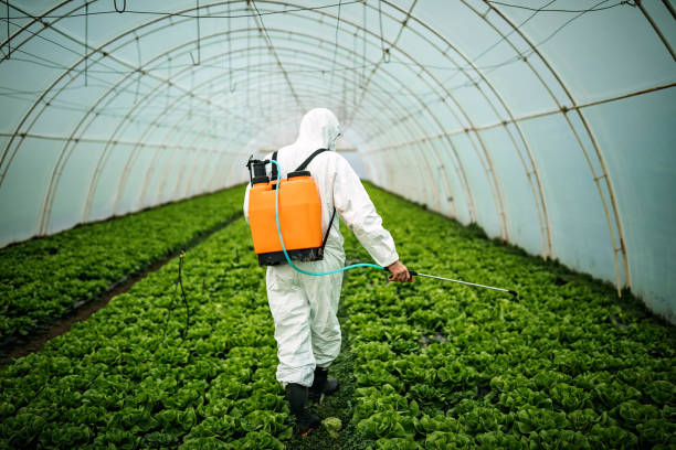 Best Affordable Pest Control Services  in Indian Springs, GA