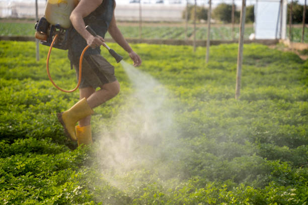 Best Best Pest Control Companies  in Indian Springs, GA
