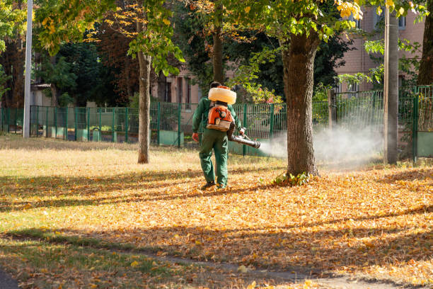 Best Local Pest Control Services  in Indian Springs, GA