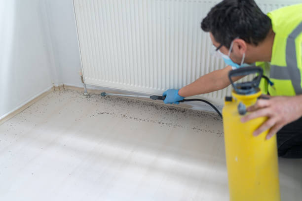 Best Wasp Removal Services  in Indian Springs, GA